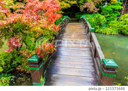 長府庭園の紅葉【山口県下関市】 121371688