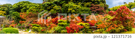 長府庭園の紅葉　パノラマ【山口県下関市】 121371716