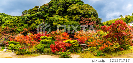 長府庭園の紅葉 パノラマ【山口県下関市】 長府庭園の紅葉 パノラマ【山口県下関市】 121371717