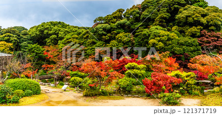 長府庭園の紅葉　パノラマ【山口県下関市】 121371719