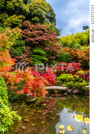 長府庭園の紅葉【山口県下関市】 長府庭園の紅葉【山口県下関市】 121371721