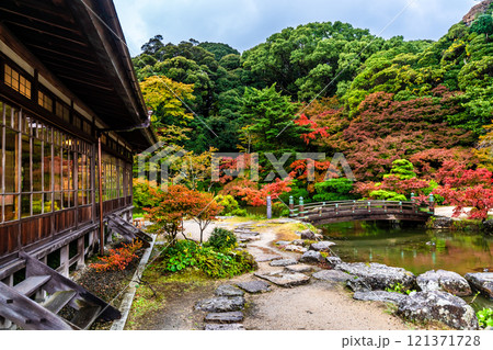 長府庭園の紅葉【山口県下関市】 長府庭園の紅葉【山口県下関市】 121371728