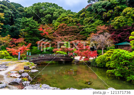 長府庭園の紅葉【山口県下関市】 長府庭園の紅葉【山口県下関市】 121371736