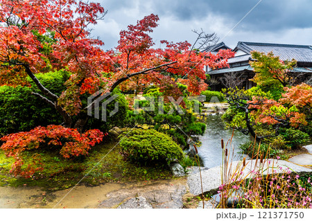 長府庭園の紅葉【山口県下関市】 長府庭園の紅葉【山口県下関市】 121371750