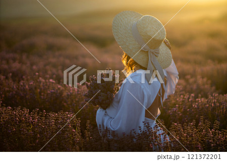 Lavender Field Woman Sunset: Woman harvests lavender at sunrise in purple field, enjoying serene summer moment. 121372201