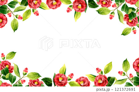 赤色の椿の背景　冬・春の花の手描き水彩イラスト素材 121372691