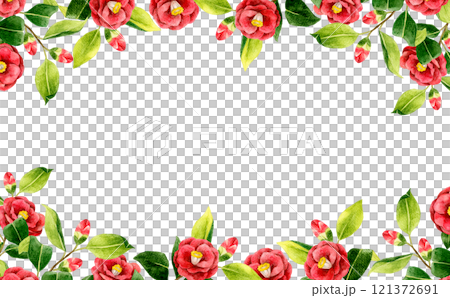 赤色の椿の背景　冬・春の花の手描き水彩イラスト素材 121372691