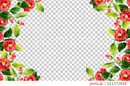 Red camellia background, hand-drawn watercolor illustration material of winter and spring flowers Red camellia background, hand-drawn watercolor illustration material of winter and spring flowers 121372692