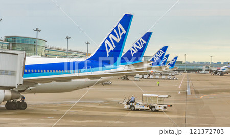 ANAのロゴ（旅客機の垂直尾翼） 121372703