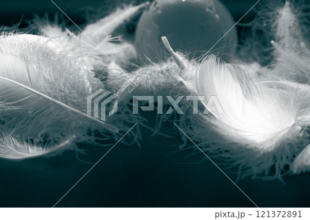 白い羽根 121372891