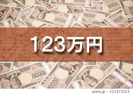 123万円（年収の壁） 121373223
