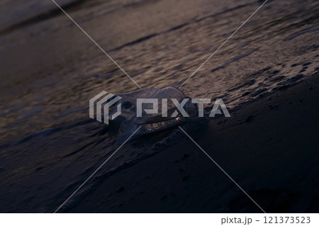 夕暮に、浜部に打ち上げられたペットボトル、海洋プラスチックゴミ 夕暮に、浜部に打ち上げられたペットボトル、海洋プラスチックゴミ 121373523