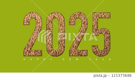 2025 lentil new year concept on a green background concept series  121373686