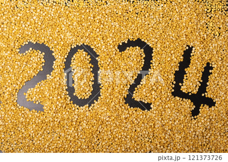 2024 new year concept on a split peas background 121373726