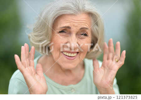 Portrait of a beautiful elderly woman in the park 121373825