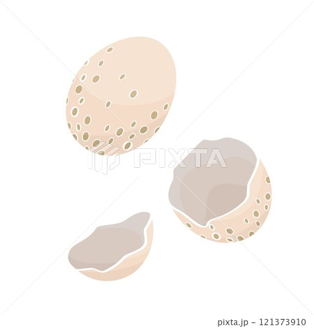 wild bird egg and shell of eggs 121373910
