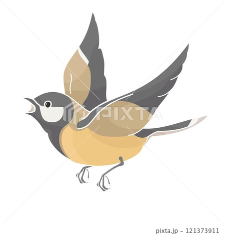flying wild bird tit on a white background 121373911