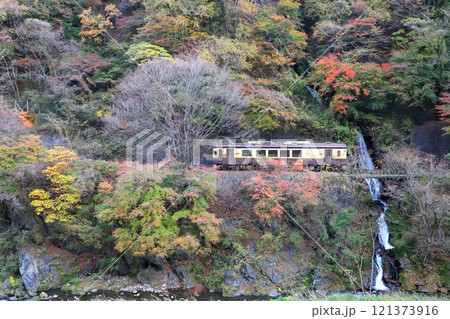 わたらせ渓谷鐵道「紅葉した山奥の滝横を走る列車」 121373916