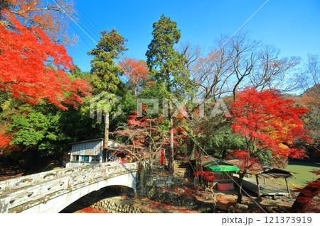 【滋賀県】晴天の永源寺 大歇橋と紅葉 121373919