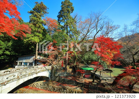 【滋賀県】晴天の永源寺 大歇橋と紅葉 121373920