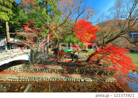 【滋賀県】晴天の永源寺 大歇橋と紅葉 121373921
