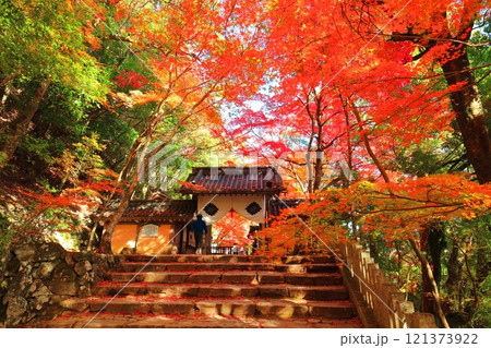 【滋賀県】晴天の永源寺の総門と紅葉 121373922