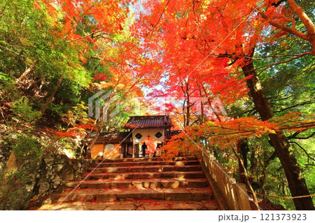【滋賀県】晴天の永源寺の総門と紅葉 121373923