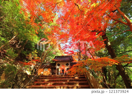 【滋賀県】晴天の永源寺の総門と紅葉 121373924