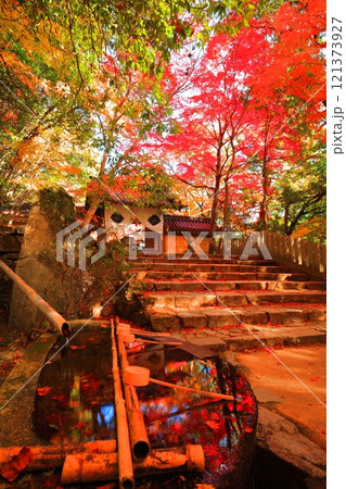 【滋賀県】晴天の永源寺の山門と紅葉 121373927