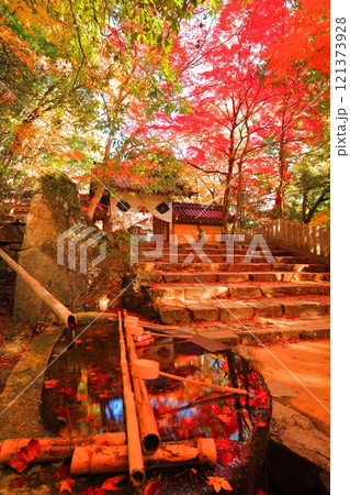 【滋賀県】晴天の永源寺の山門と紅葉 121373928