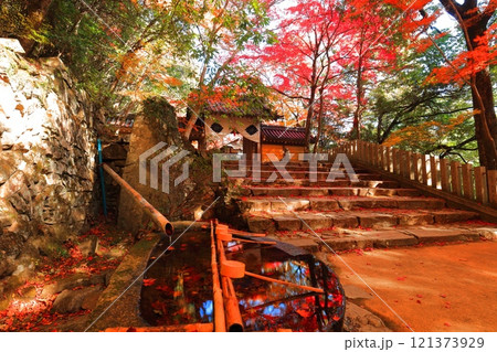 【滋賀県】晴天の永源寺の山門と紅葉 121373929