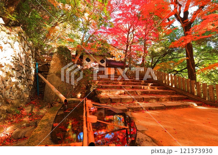 【滋賀県】晴天の永源寺の山門と紅葉 121373930