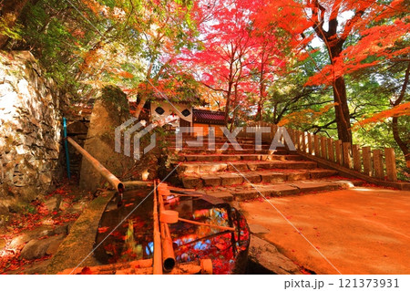 【滋賀県】晴天の永源寺の総門と紅葉 121373931