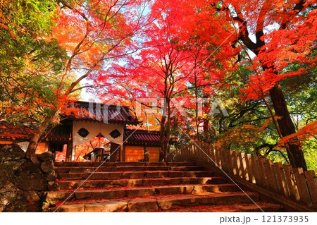 【滋賀県】晴天の永源寺の総門と紅葉 121373935