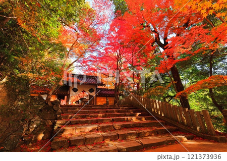 【滋賀県】晴天の永源寺の総門と紅葉 121373936
