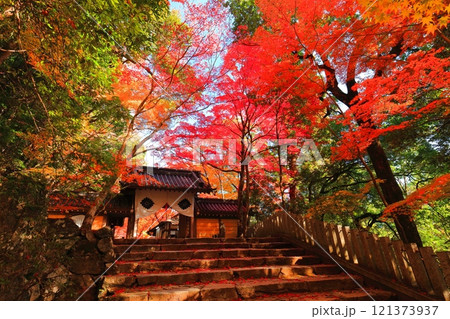【滋賀県】晴天の永源寺の総門と紅葉 121373937