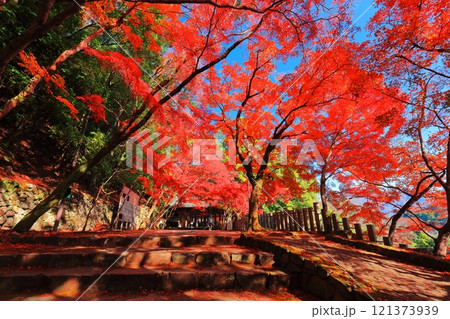 【滋賀県】晴天の永源寺の総門と紅葉 121373939