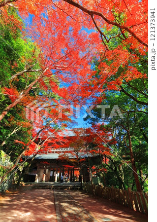 【滋賀県】晴天の永源寺の山門と紅葉 121373941