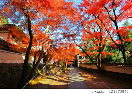 【滋賀県】晴天の永源寺の紅葉 121373943