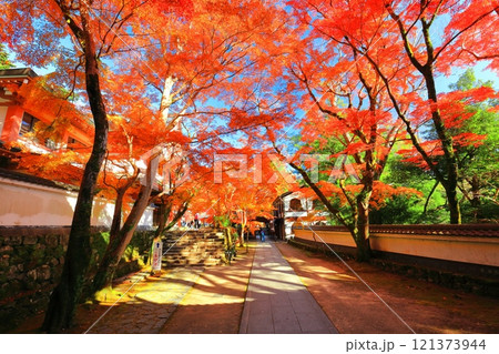 【滋賀県】晴天の永源寺の紅葉 121373944