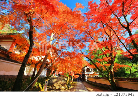 【滋賀県】晴天の永源寺の紅葉 121373945
