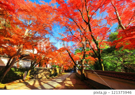 【滋賀県】晴天の永源寺の紅葉 121373946