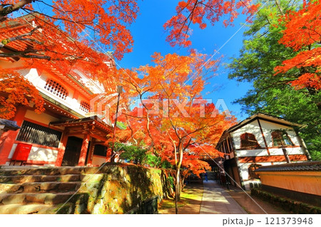 【滋賀県】晴天の永源寺の紅葉 121373948