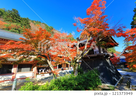 【滋賀県】晴天の永源寺の紅葉（鐘楼） 121373949