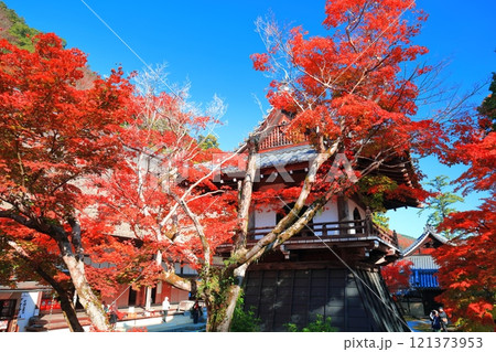 【滋賀県】晴天の永源寺の紅葉（鐘楼） 121373953