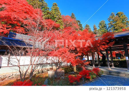 【滋賀県】晴天の永源寺の紅葉 【滋賀県】晴天の永源寺の紅葉 121373958