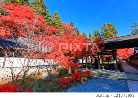 【滋賀県】晴天の永源寺の紅葉 121373959