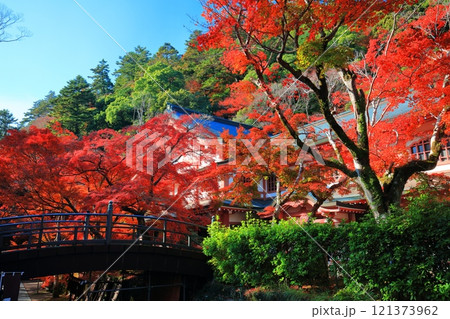 【滋賀県】晴天の永源寺の紅葉 121373962