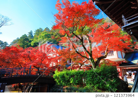 【滋賀県】晴天の永源寺の紅葉 121373964