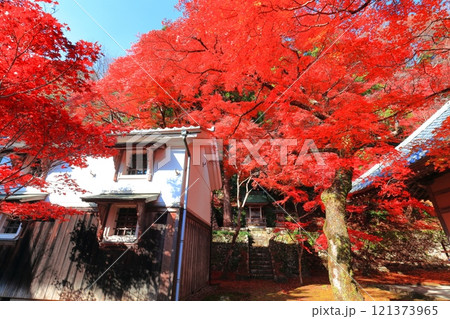 【滋賀県】晴天の永源寺の紅葉 121373965